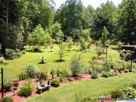 Rock Laurel Bed And Breakfast Candler Facilities photo